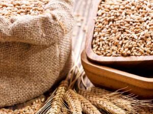 Fitra | Fitrana | Zakat Fitr | Zakatul Fitr | Zakaatul-Fitr | زكاة الفطر